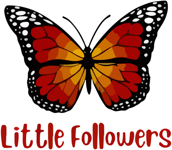 Little Followers